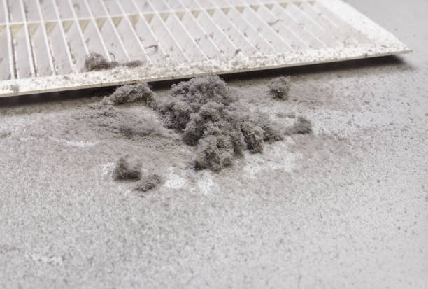 Best Air Duct Cleaning Near Me  in Wellsville, UT