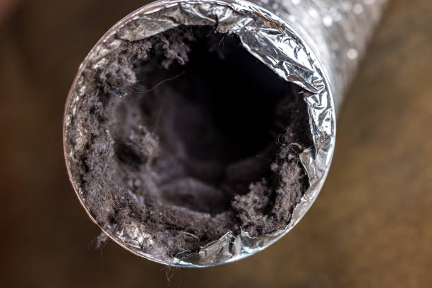 Best HVAC Maintenance and Cleaning  in Wellsville, UT